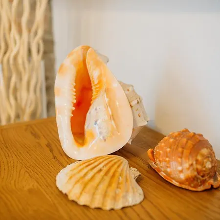 Charming Old Stone House * Sali