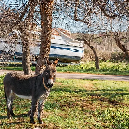 Appartement Charming Old Stone House *