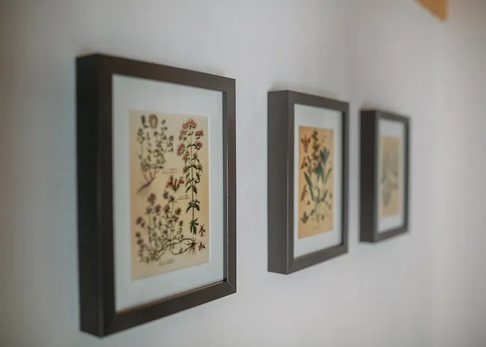 Charming Old Stone House