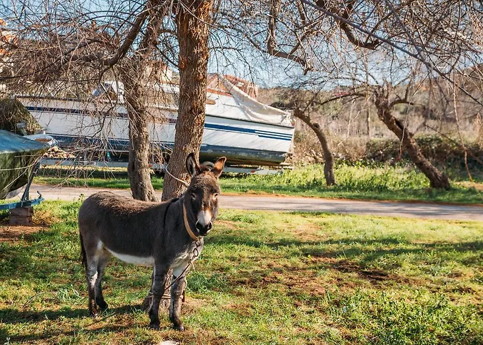 Apartman Charming Old Stone House *